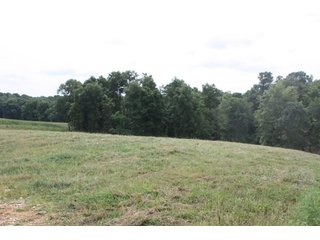 Property photo 62 - LAND AUCTION - 1,193+/- ACRES IN 14 TRACTS IN PIKE & GIBSON COUNTY, INDIANA
